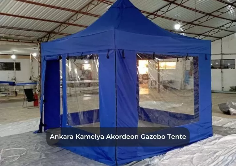 ruck zuck zelt bivvy Q-Tac Angelzelt Vorne Geöffnet, 2 Mann Karpfenzelt, Angel 250 cm x 250 cm x 160 cm, Wassersäule 10 000 mm Sport & Fiamma Deep Black F35 Pro 250 Royal Grey Fabric (06458B01R) Frame Colour:Green Heute ist Mallorca Party